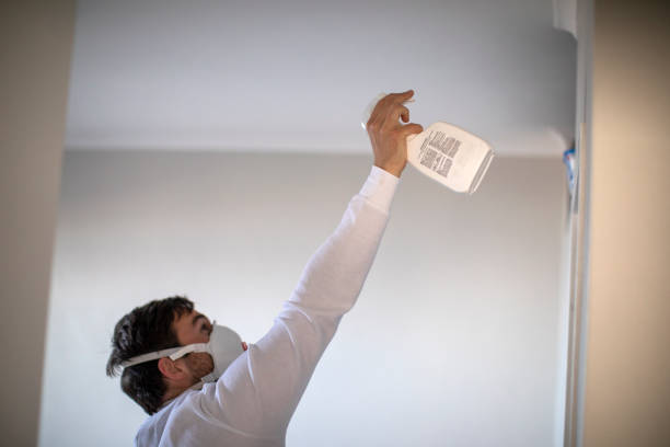 Best Crawl Space Mold Removal  in Golden Meadow, LA