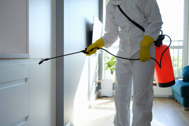 Reliable Golden Meadow, LA Mold Removal Solutions